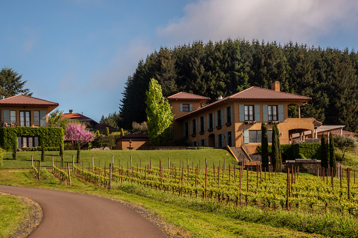 6 Instagramable Places To Stay In The Willamette Valley - Black Walnut Inn