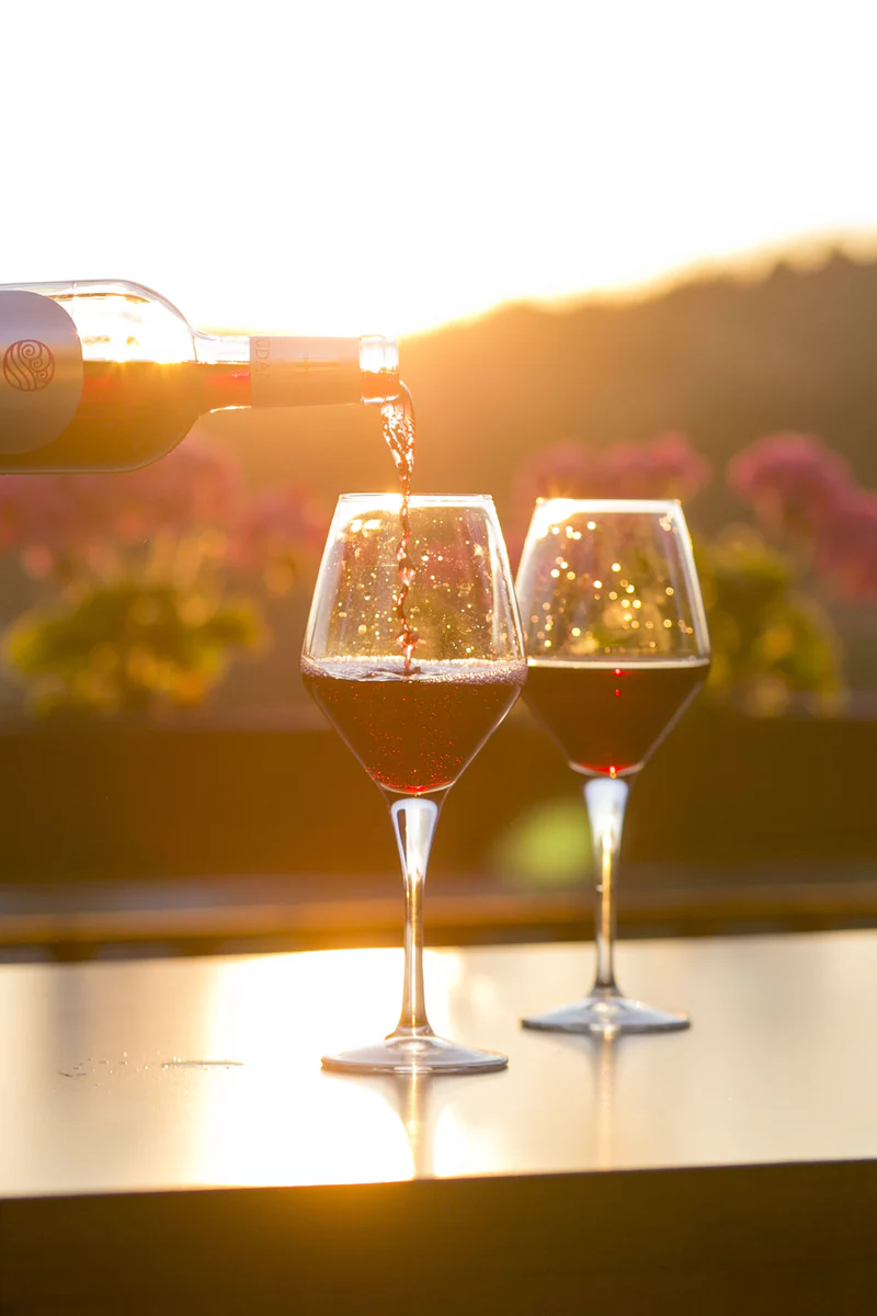 How To Take Advantage of Oregon Wine Month - Red Wine