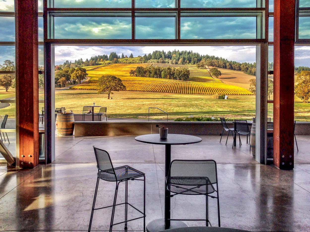 Willamette Valley Wineries Focus On The Outdoor Experience