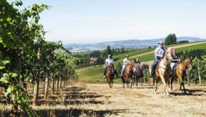 Equestrian Wine Tours in Willamette Valley