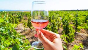 private wine tours of willamette valley wineries