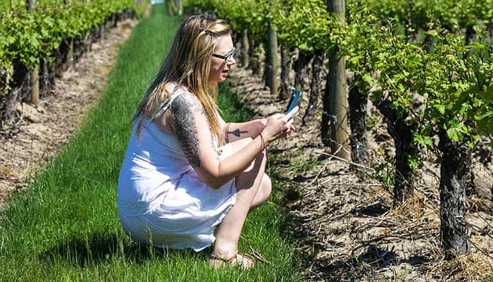 portland oregon winery tours woman in vineyard