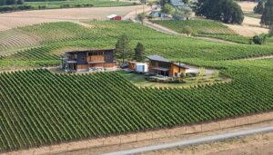 Top Ten Wineries Near McMinnville Oregon